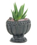 Mini Çiçek Saksı Küçük Sukulent Siyah Kaktüs Saksısı Antika Vazo Model